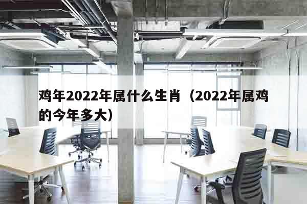 鸡年2022年属什么生肖（2022年属鸡的今年多大）