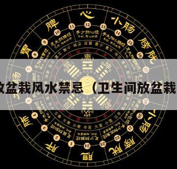 厕所放盆栽风水禁忌（卫生间放盆栽 风水）