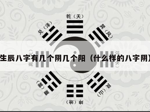 生辰八字有几个阴几个阳（什么样的八字阴）