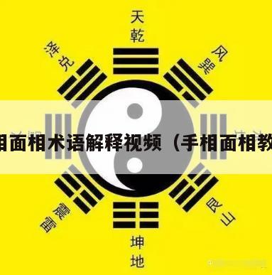 手相面相术语解释视频（手相面相教学）