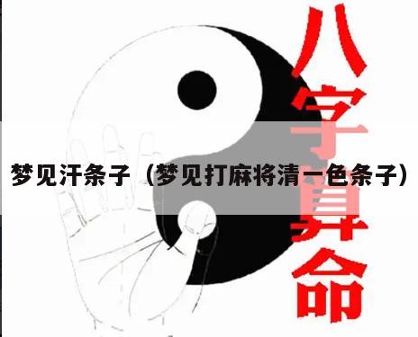 梦见汗条子（梦见打麻将清一色条子）