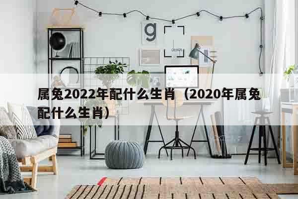 属兔2022年配什么生肖（2020年属兔配什么生肖）