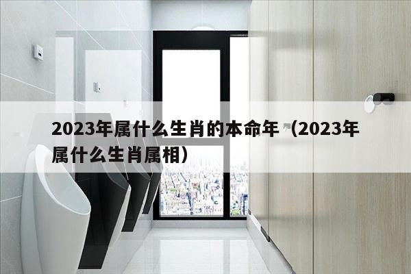 2023年属什么生肖的本命年（2023年属什么生肖属相）