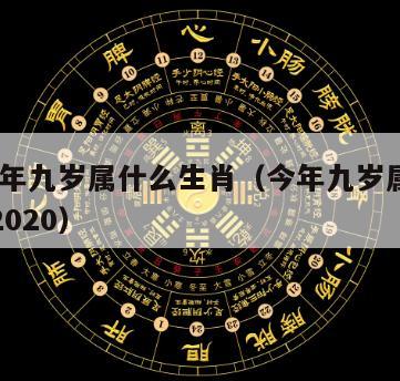 2022年九岁属什么生肖（今年九岁属什么生肖2020）