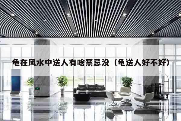 龟在风水中送人有啥禁忌没（龟送人好不好）