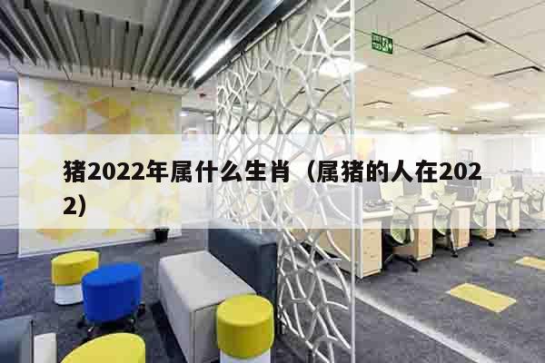猪2022年属什么生肖（属猪的人在2022）