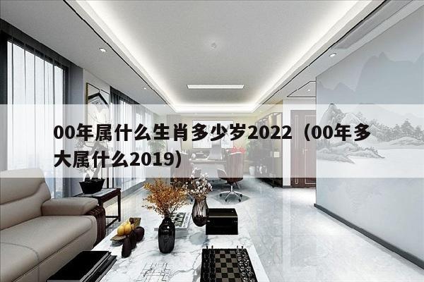 00年属什么生肖多少岁2022（00年多大属什么2019）