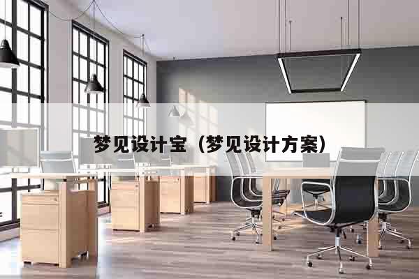 梦见设计宝（梦见设计方案）