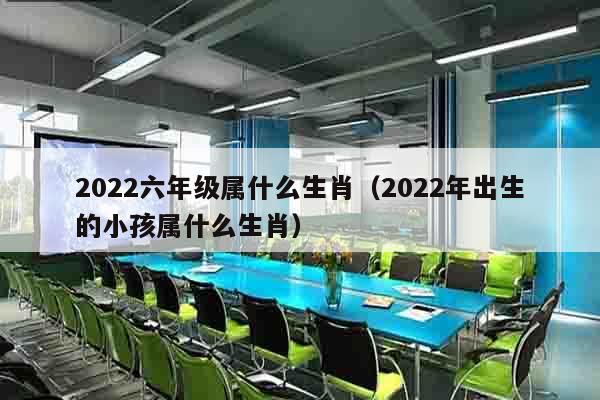 2022六年级属什么生肖（2022年出生的小孩属什么生肖）