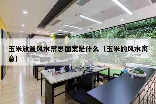 玉米放置风水禁忌图案是什么（玉米的风水寓意）