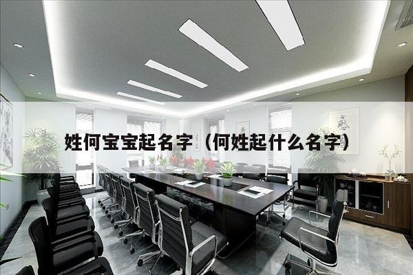 姓何宝宝起名字（何姓起什么名字）