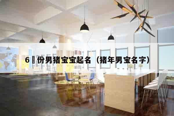 6冃份男猪宝宝起名（猪年男宝名字）
