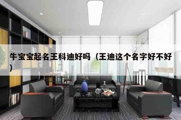 牛宝宝起名王科迪好吗（王迪这个名字好不好）