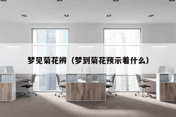 梦见菊花辨（梦到菊花预示着什么）