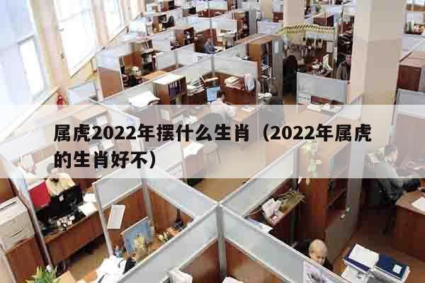 属虎2022年摆什么生肖（2022年属虎的生肖好不）