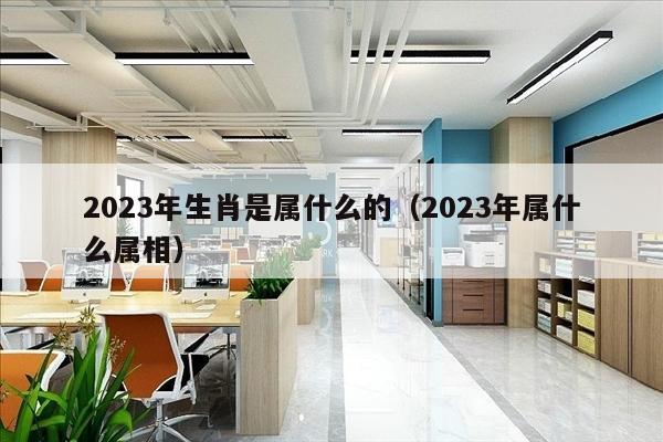 2023年生肖是属什么的（2023年属什么属相）