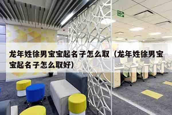 龙年姓徐男宝宝起名子怎么取（龙年姓徐男宝宝起名子怎么取好）