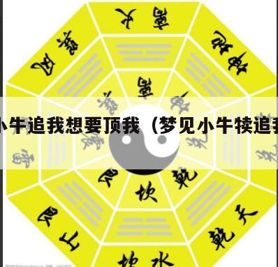 梦见小牛追我想要顶我（梦见小牛犊追我想要顶我）