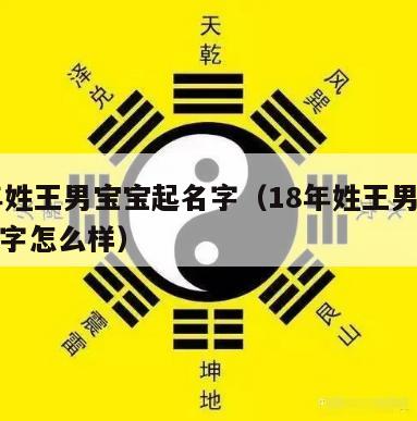 18年姓王男宝宝起名字（18年姓王男宝宝起名字怎么样）