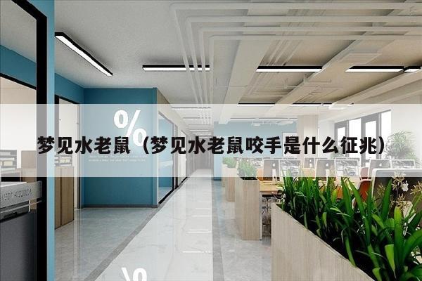 梦见水老鼠（梦见水老鼠咬手是什么征兆）