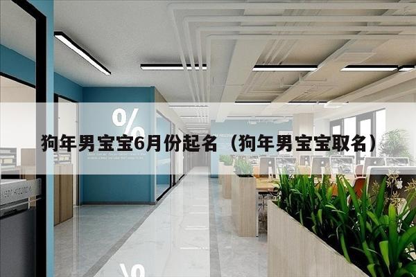 狗年男宝宝6月份起名（狗年男宝宝取名）