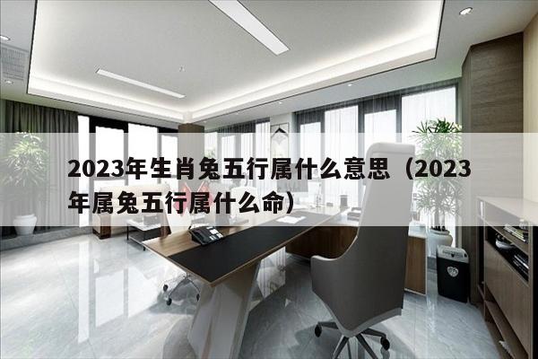 2023年生肖兔五行属什么意思（2023年属兔五行属什么命）