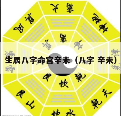 生辰八字命宫辛未（八字 辛未）