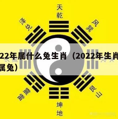 2022年属什么兔生肖（2022年生肖运势属兔）