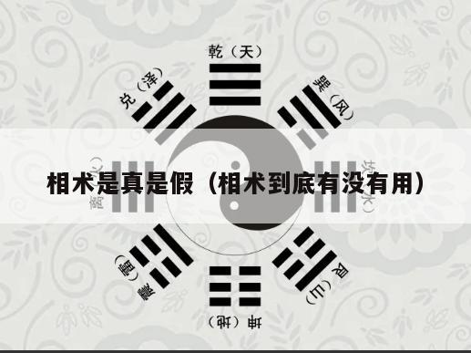 相术是真是假（相术到底有没有用）