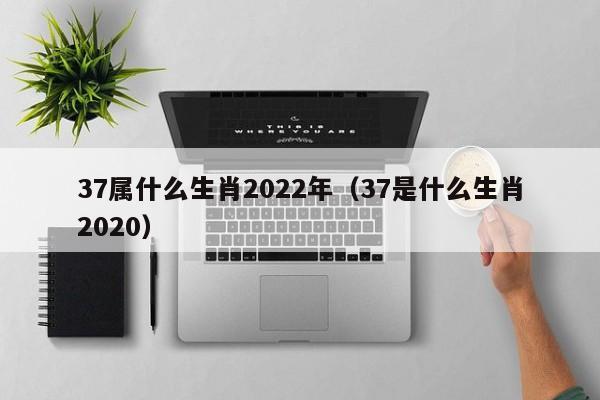 37属什么生肖2022年（37是什么生肖2020）