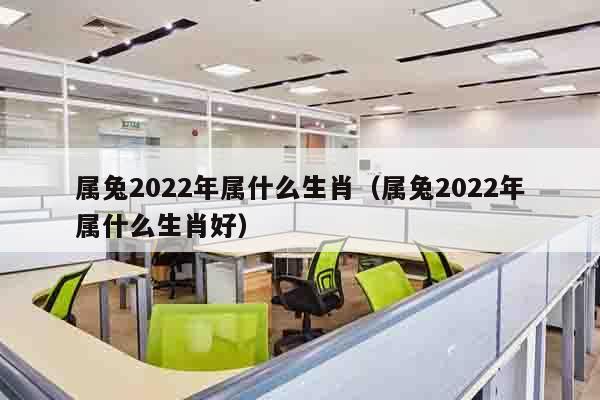 属兔2022年属什么生肖（属兔2022年属什么生肖好）