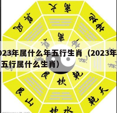 2023年属什么年五行生肖（2023年属于五行属什么生肖）