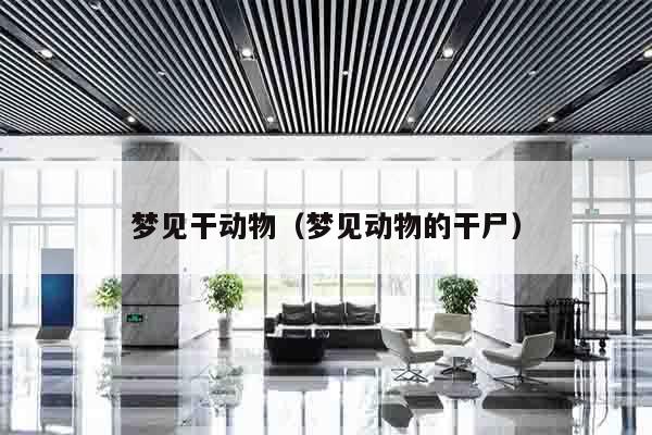 梦见干动物（梦见动物的干尸）