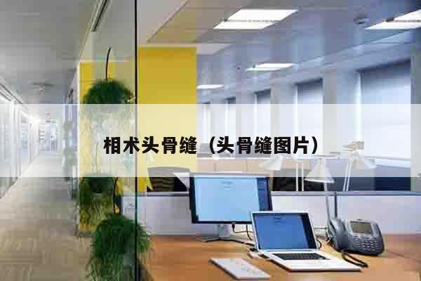 相术头骨缝（头骨缝图片）