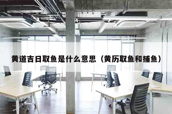 黄道吉日取鱼是什么意思（黄历取鱼和捕鱼）