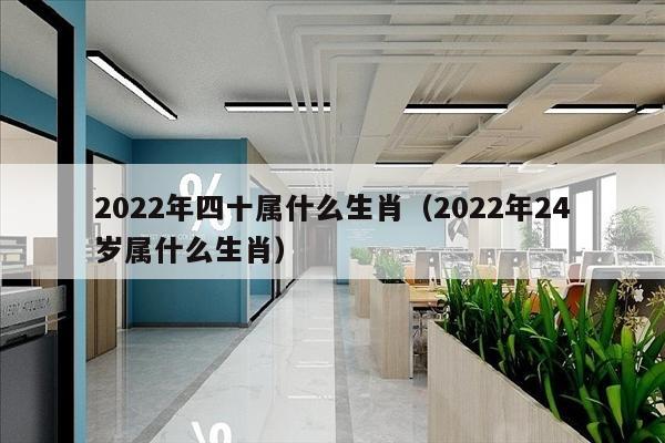 2022年四十属什么生肖（2022年24岁属什么生肖）