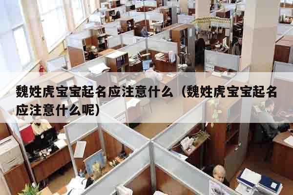 魏姓虎宝宝起名应注意什么（魏姓虎宝宝起名应注意什么呢）