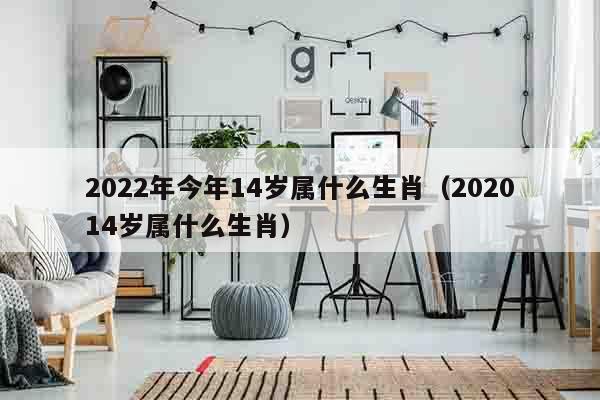 2022年今年14岁属什么生肖（202014岁属什么生肖）