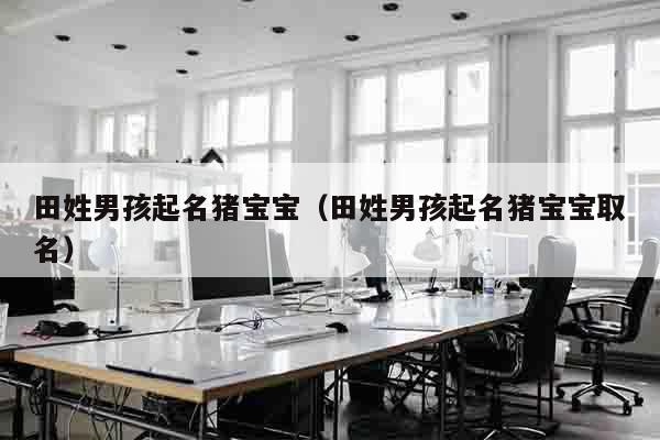 田姓男孩起名猪宝宝（田姓男孩起名猪宝宝取名）