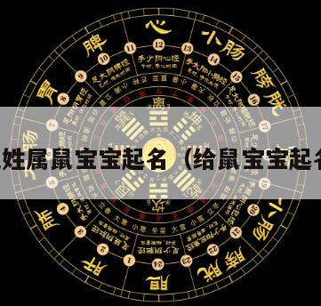 毛姓属鼠宝宝起名（给鼠宝宝起名）