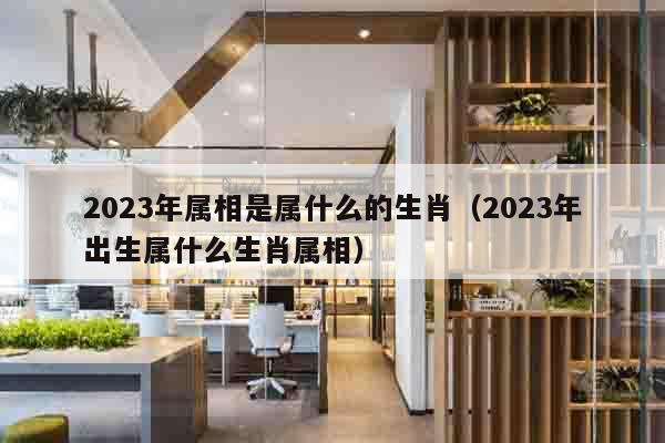 2023年属相是属什么的生肖（2023年出生属什么生肖属相）
