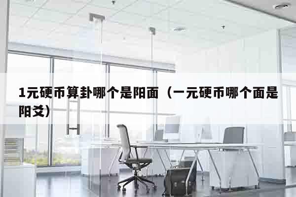 1元硬币算卦哪个是阳面（一元硬币哪个面是阳爻）