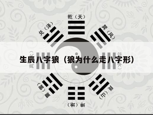 生辰八字狼（狼为什么走八字形）