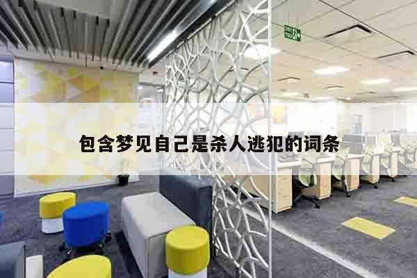 包含梦见自己是杀人逃犯的词条