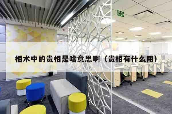 相术中的贵相是啥意思啊（贵相有什么用）
