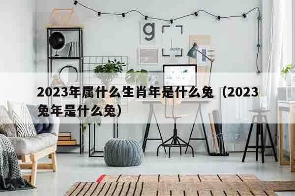 2023年属什么生肖年是什么兔（2023兔年是什么兔）