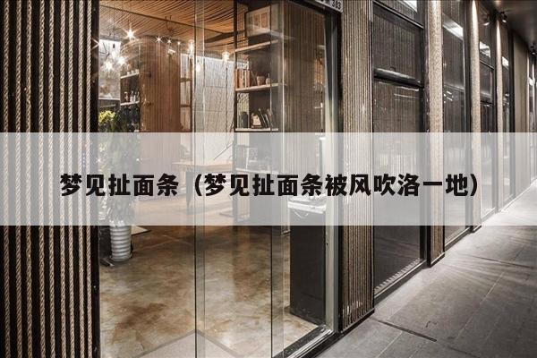 梦见扯面条（梦见扯面条被风吹洛一地）