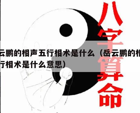 岳云鹏的相声五行相术是什么（岳云鹏的相声五行相术是什么意思）