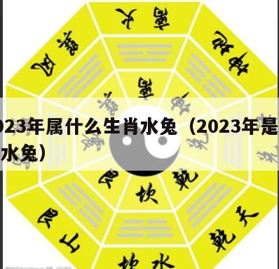 2023年属什么生肖水兔（2023年是什么水兔）