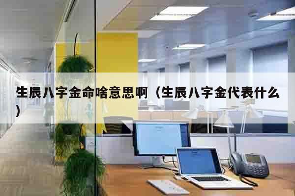 生辰八字金命啥意思啊（生辰八字金代表什么）